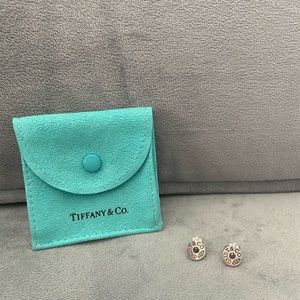 Tiffany&Co gorgeous Circle earrings